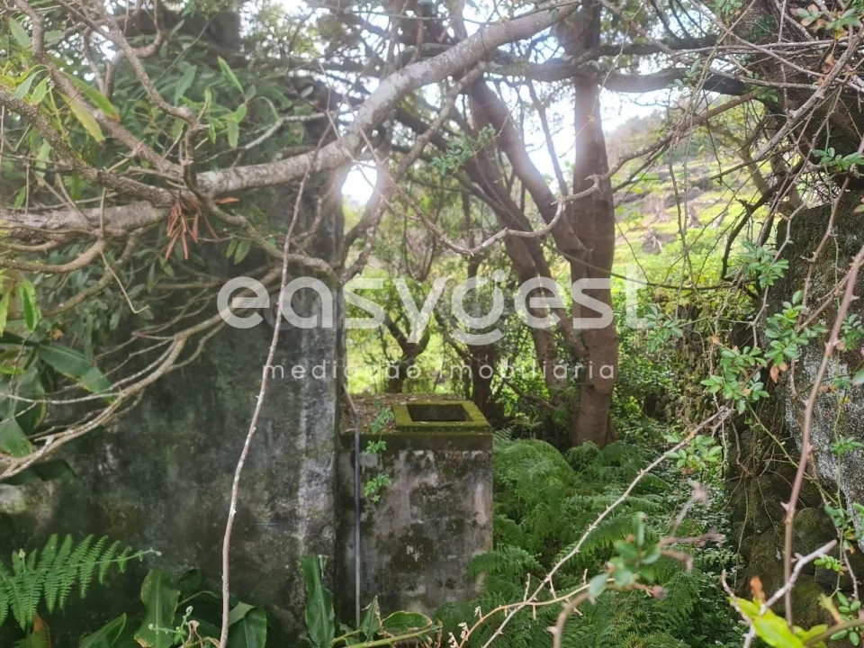 Moradia T2 para Venda em São João Foto 18