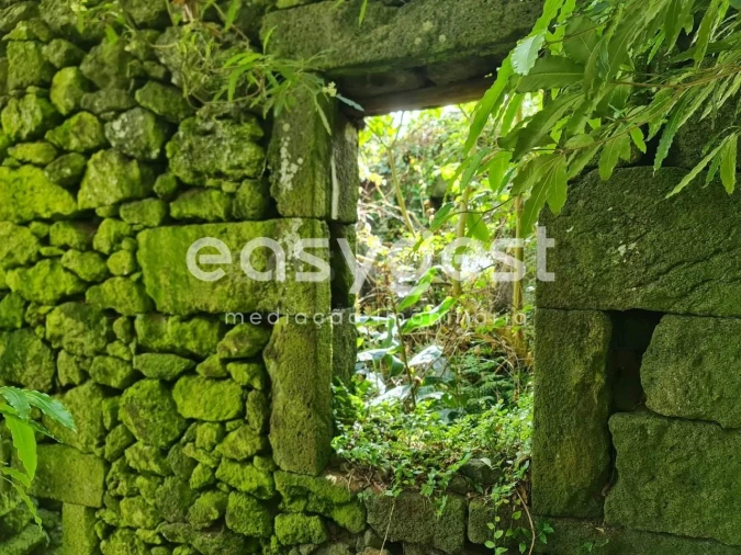 Moradia T2 para Venda em São João Foto 4