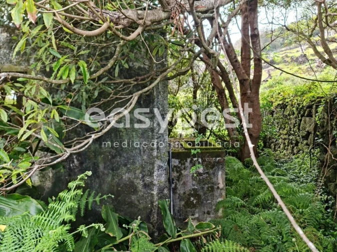 Moradia T2 para Venda em São João Foto 7