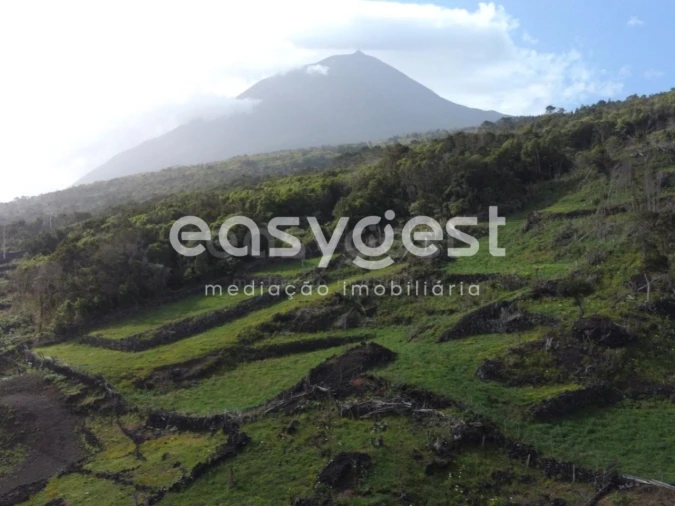 Moradia T2 para Venda em São João Foto 11