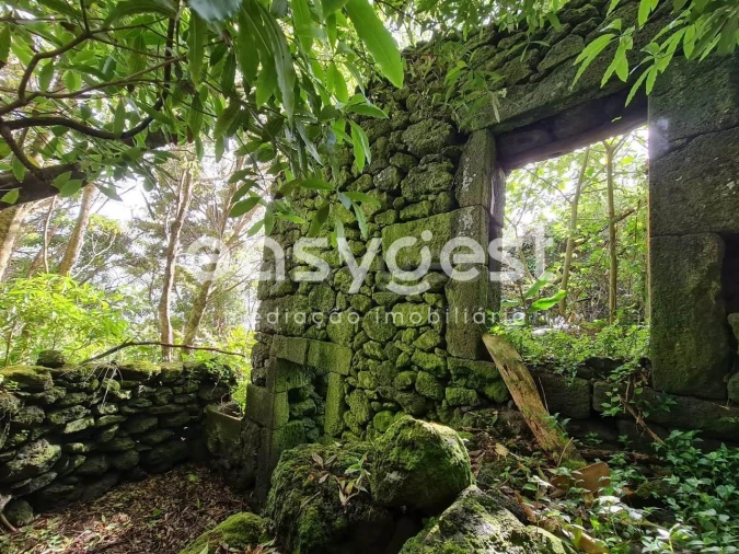 Moradia T2 para Venda em São João Foto 14