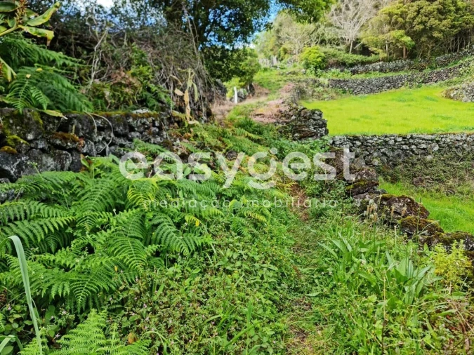 Moradia T2 para Venda em São João Foto 17