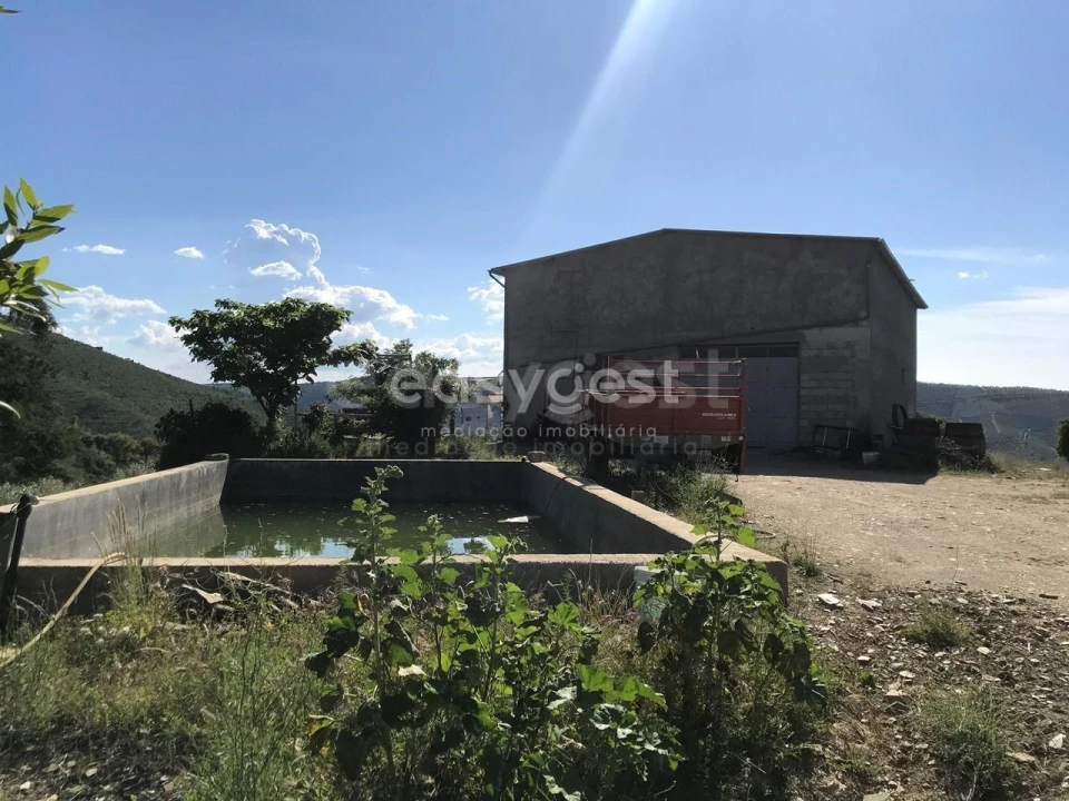 Quinta para Venda em Vila Nova de Foz Côa Foto 5