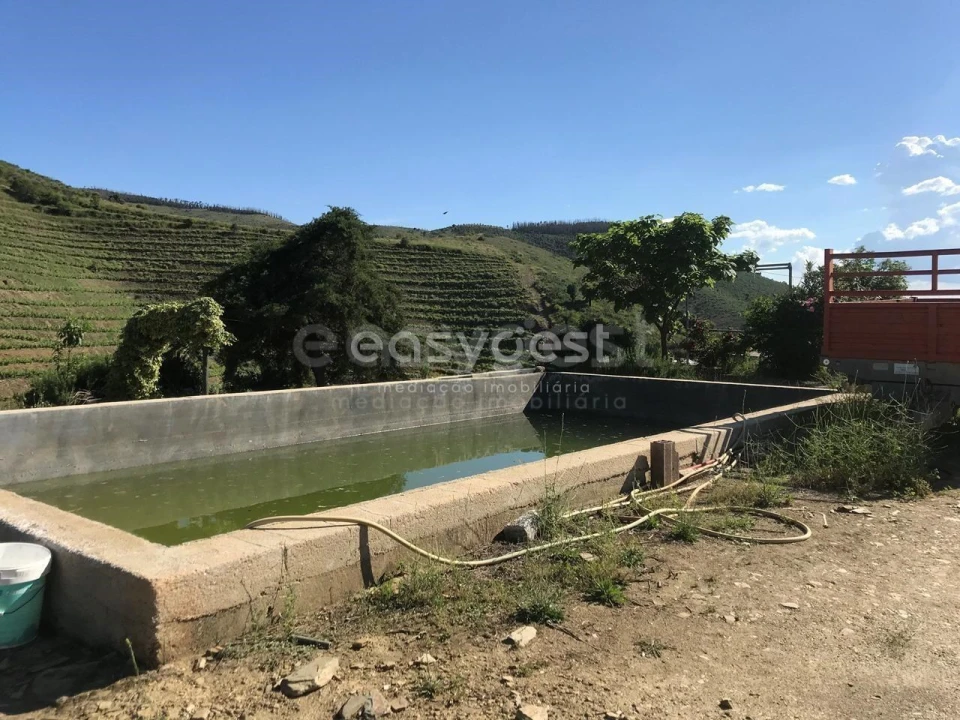Quinta para Venda em Vila Nova de Foz Côa Foto 6