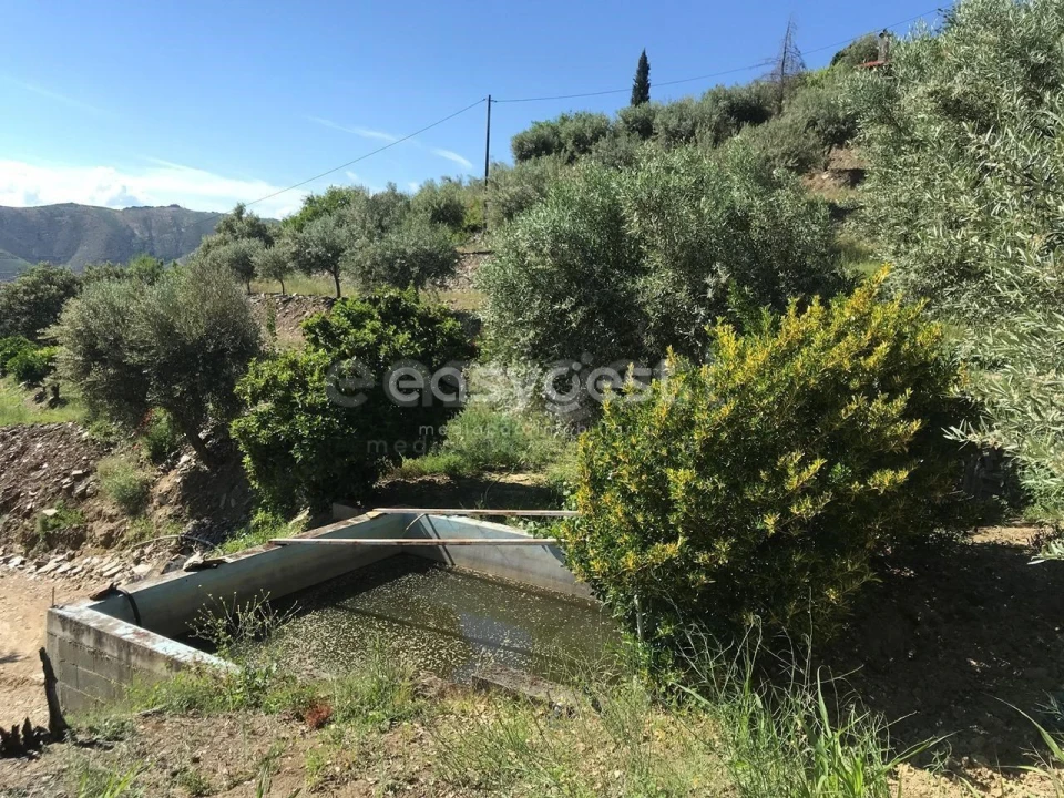 Quinta para Venda em Vila Nova de Foz Côa Foto 13