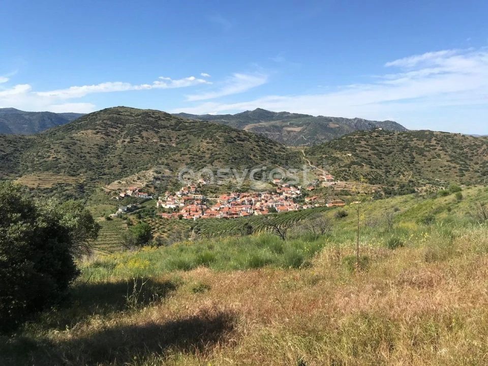 Quinta para Venda em Vila Nova de Foz Côa Foto 17