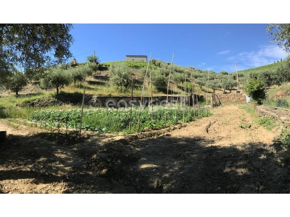 Quinta para Venda em Vila Nova de Foz Côa Foto 18