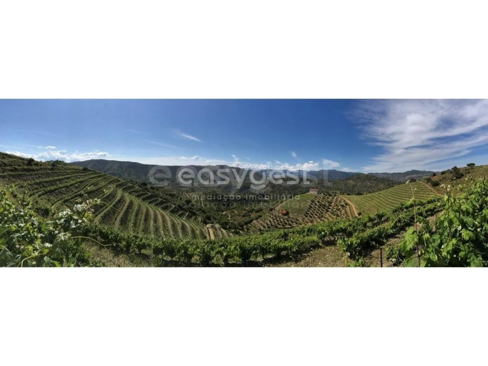 Quinta para Venda em Vila Nova de Foz Côa Foto 19