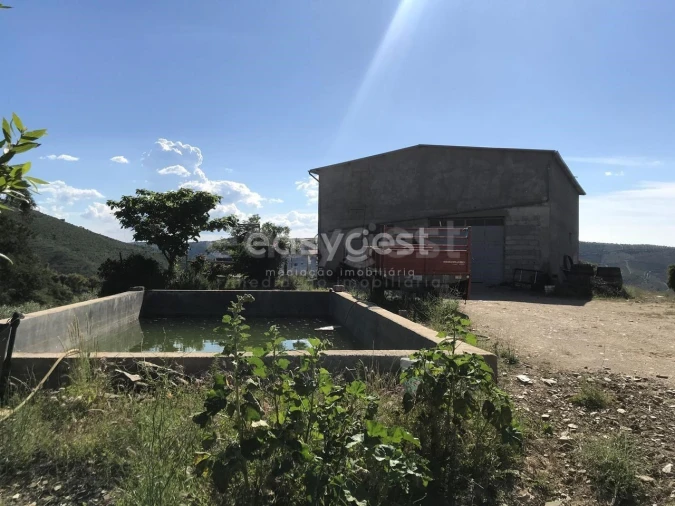 Quinta para Venda em Vila Nova de Foz Côa Foto 5