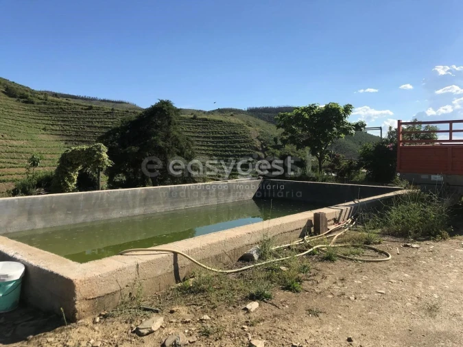 Quinta para Venda em Vila Nova de Foz Côa Foto 6