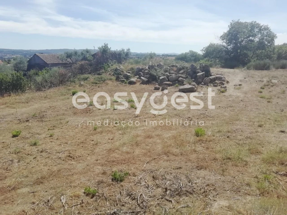 Terreno para Venda em Caria Foto 7