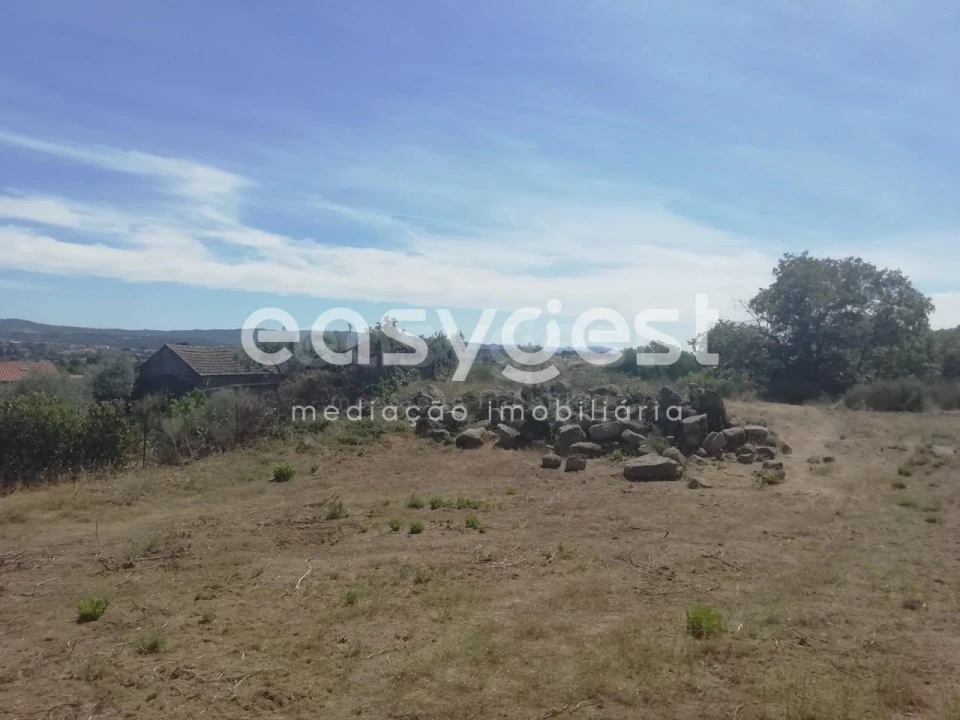 Terreno para Venda em Caria Foto 8