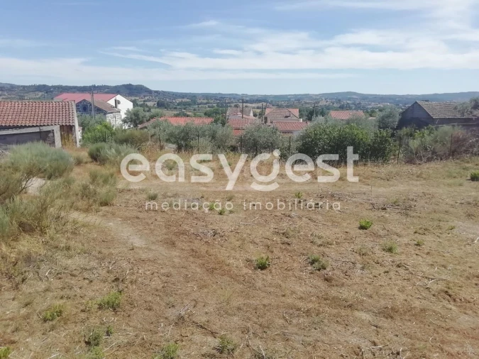 Terreno para Venda em Caria Foto 2