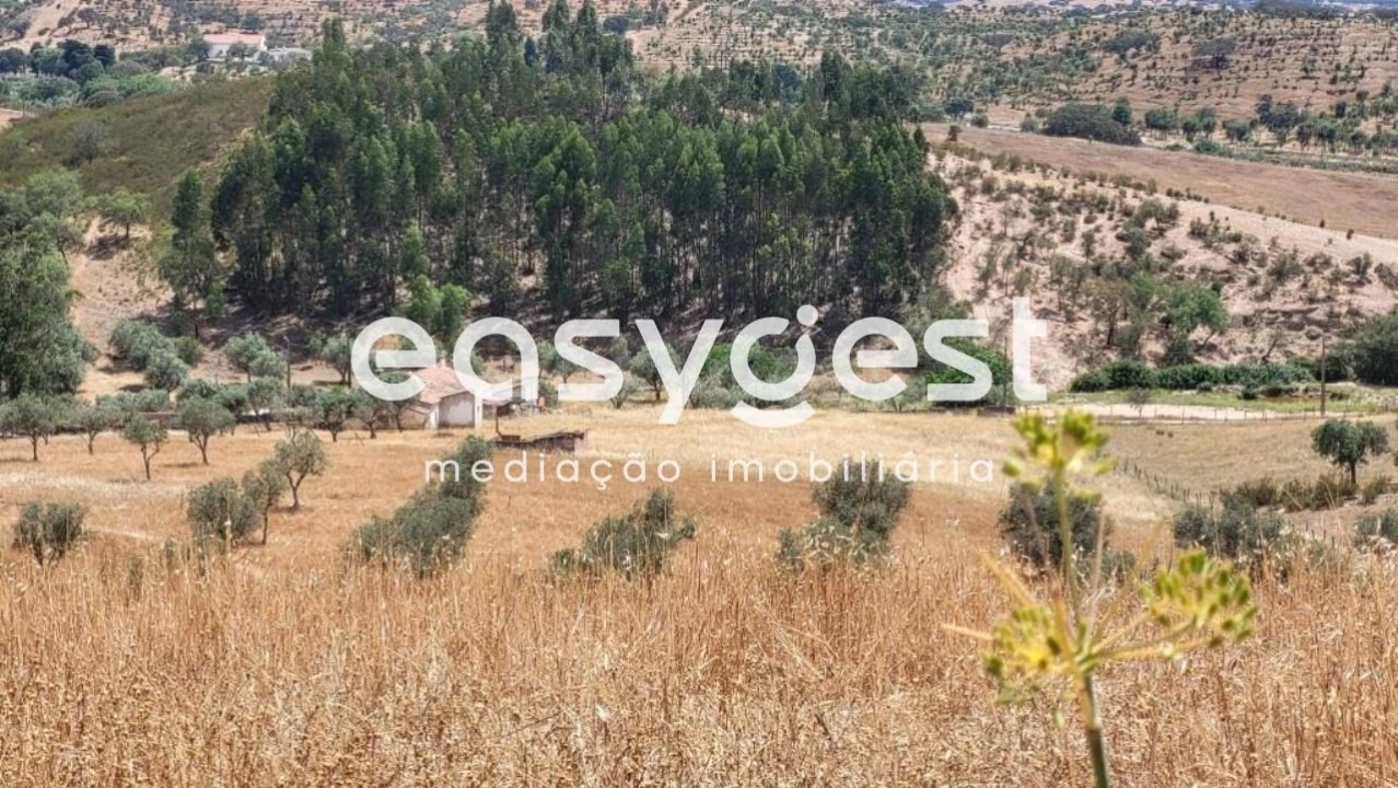 Quinta T1 para Venda em Ourique Foto 8