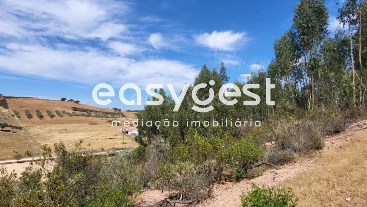 Quinta T1 para Venda em Ourique Foto 14