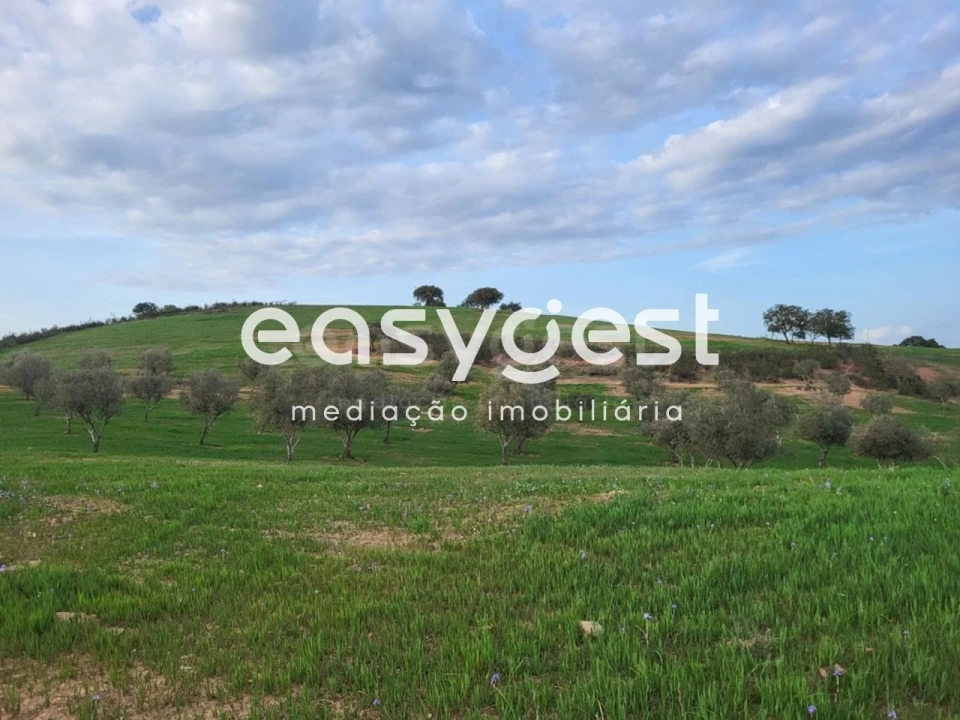 Quinta T1 para Venda em Ourique Foto 16