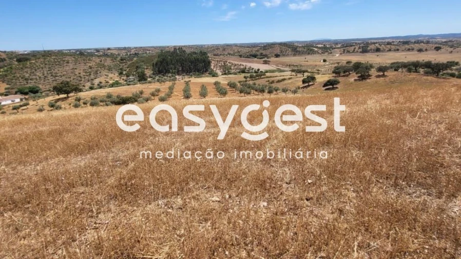 Quinta T1 para Venda em Ourique Foto 9