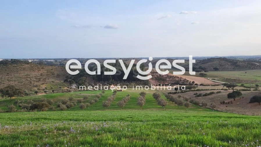 Quinta T1 para Venda em Ourique Foto 10