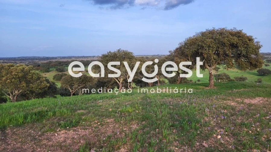 Quinta T1 para Venda em Ourique Foto 11