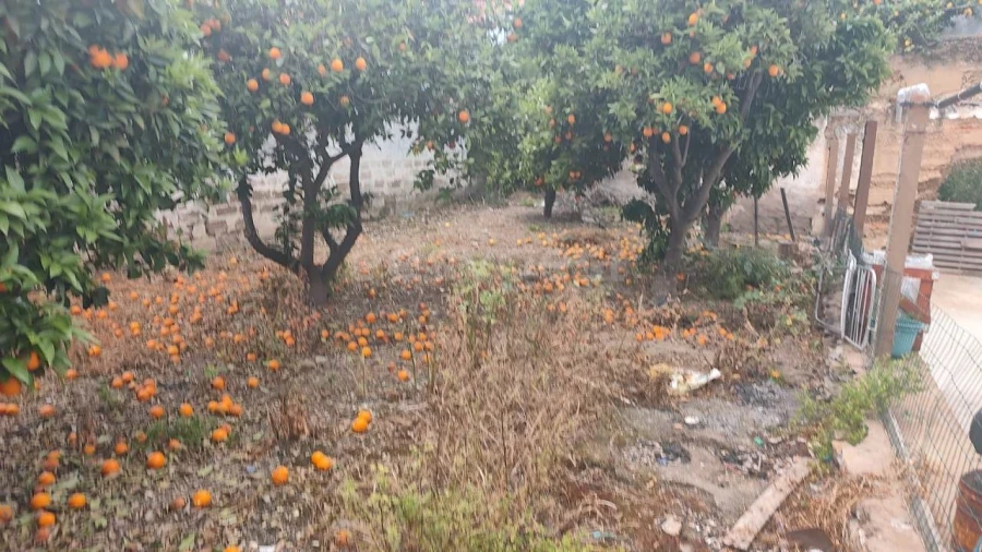 Moradia T2 para Venda em Aljustrel e Rio de Moinhos Foto 10