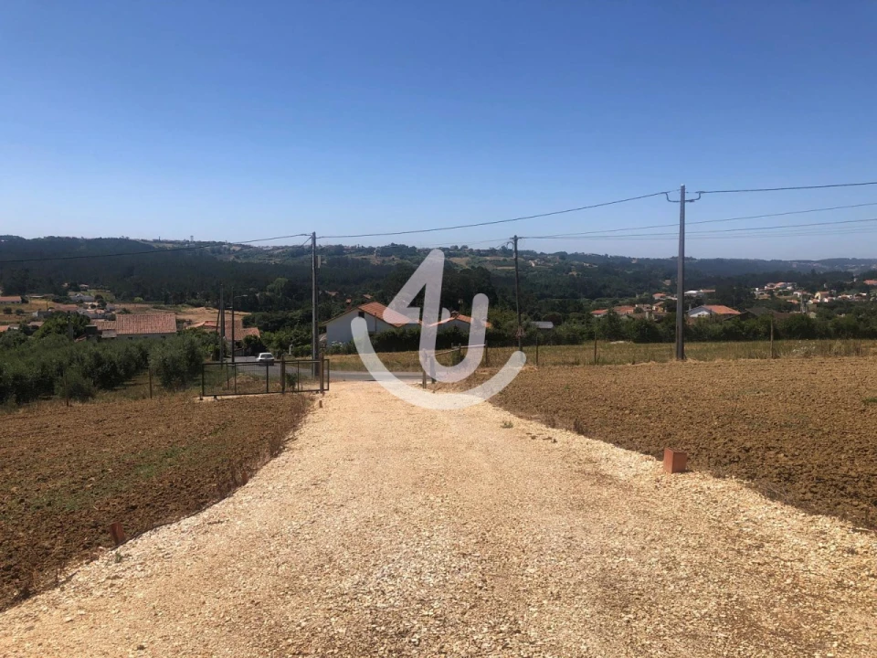 Terreno para Venda em Cela Foto 12