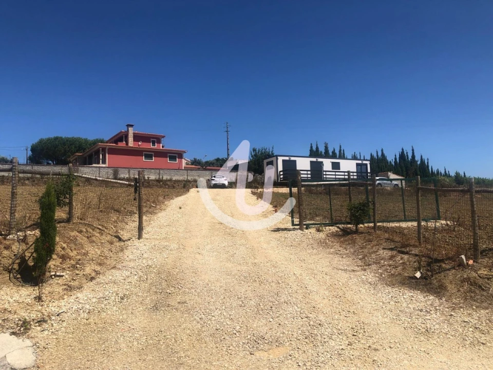 Terreno para Venda em Cela Foto 25