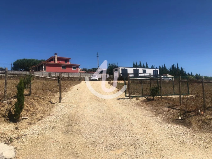 Terreno para Venda em Cela Foto 1