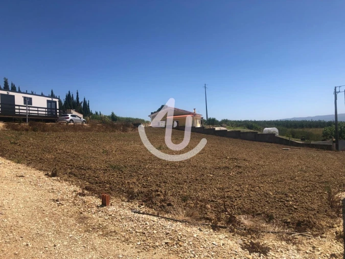 Terreno para Venda em Cela Foto 27