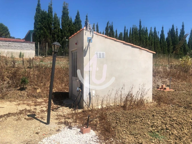 Terreno para Venda em Cela Foto 29