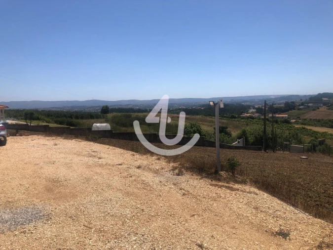 Terreno para Venda em Cela Foto 32