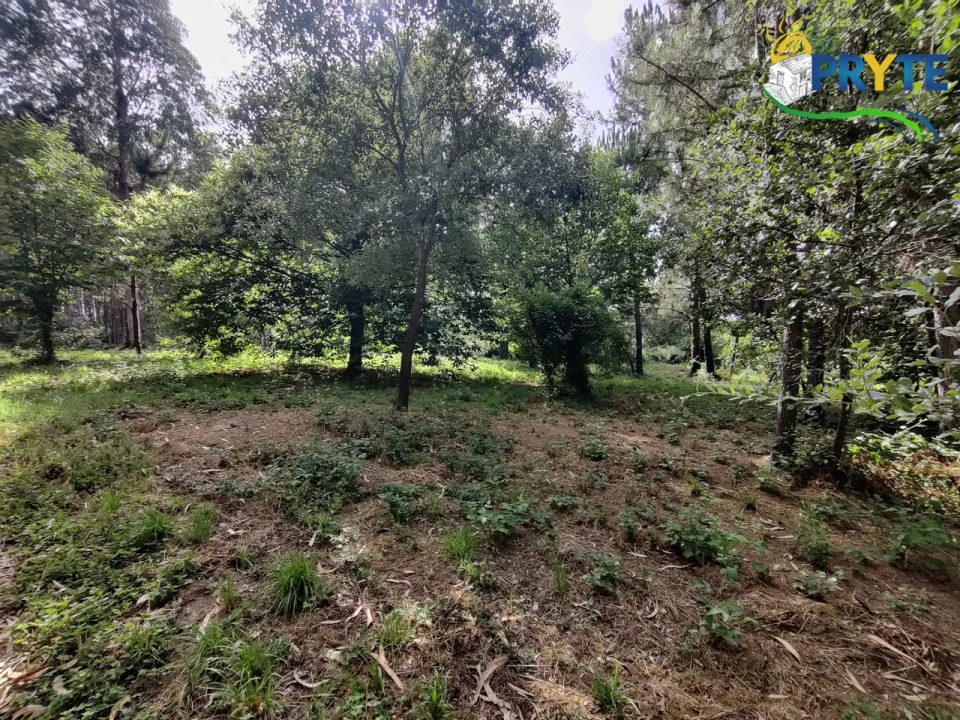 Moradia T3 para Venda em Ferreira do Zezere Foto 35
