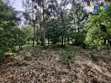 Moradia T3 para Venda em Ferreira do Zezere
