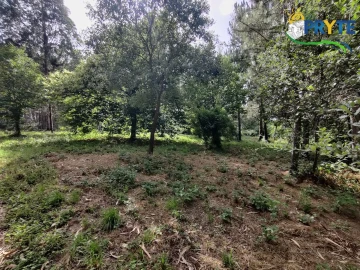 Moradia T3 para Venda em Ferreira do Zezere