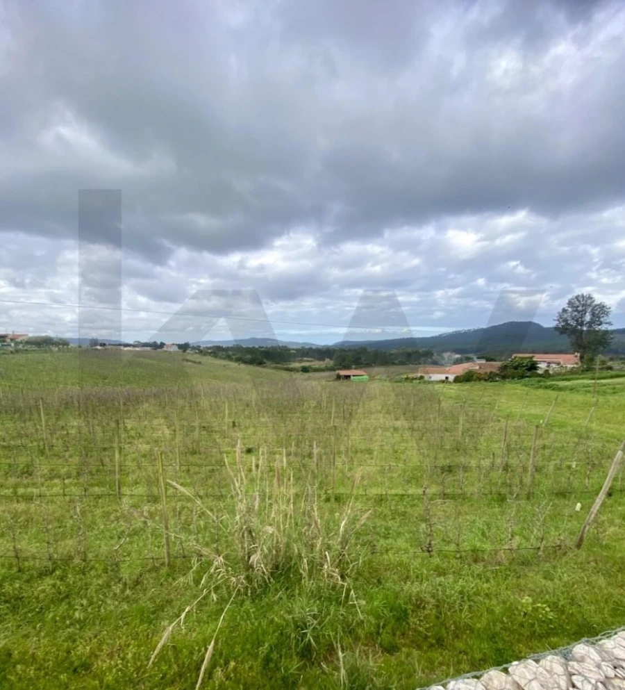 Quinta T4 para Venda em Valado dos Frades Foto 25