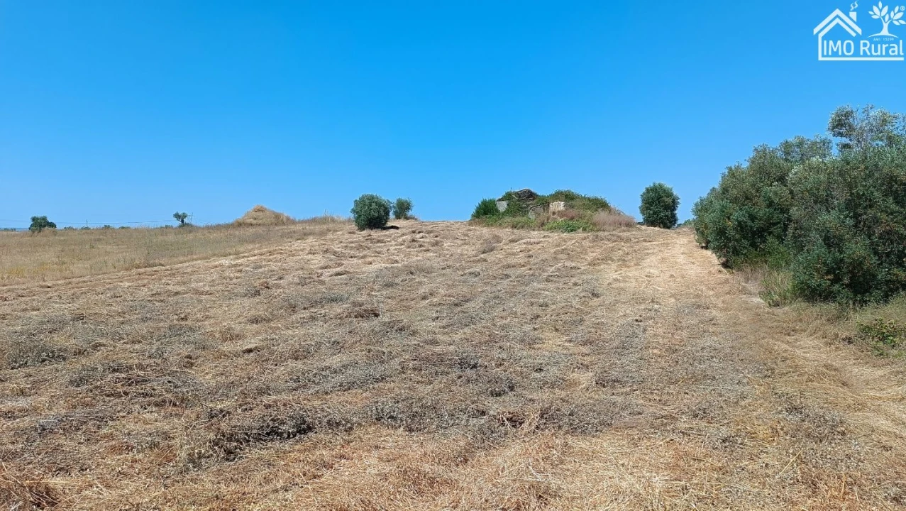 Terreno para Venda em São Vicente do Paul e Vale de Figueira Foto 9