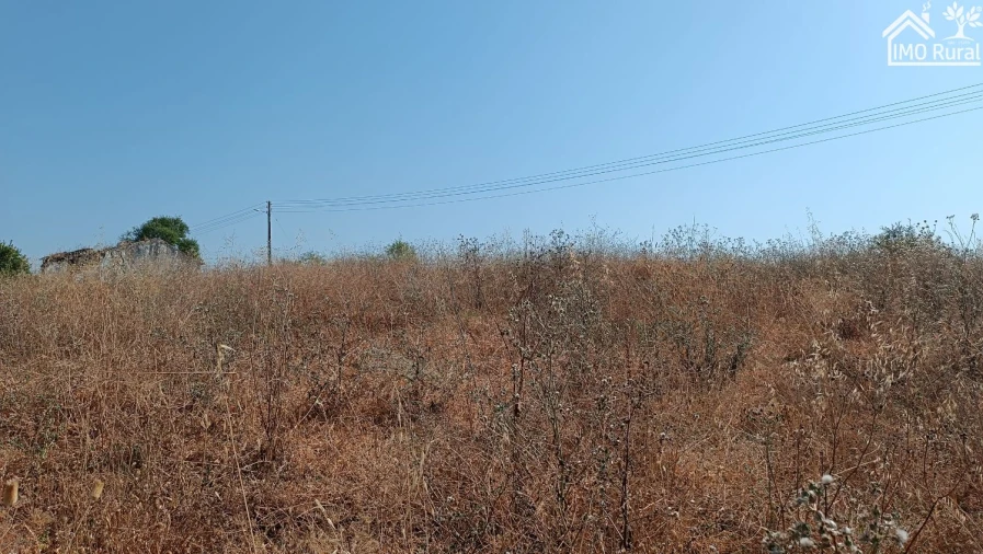 Terreno para Venda em São Vicente do Paul e Vale de Figueira Foto 13