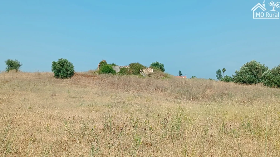 Terreno para Venda em São Vicente do Paul e Vale de Figueira Foto 2
