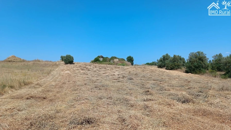 Terreno para Venda em São Vicente do Paul e Vale de Figueira Foto 7