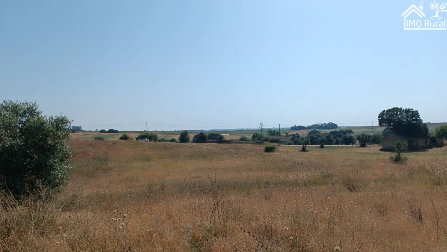 Terreno para Venda em São Vicente do Paul e Vale de Figueira Foto 20