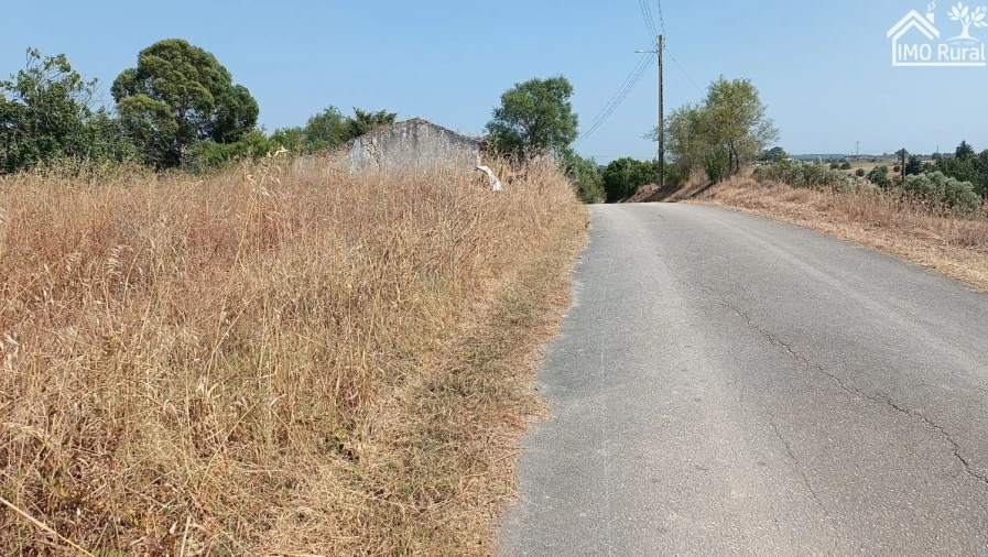 Terreno para Venda em São Vicente do Paul e Vale de Figueira Foto 11