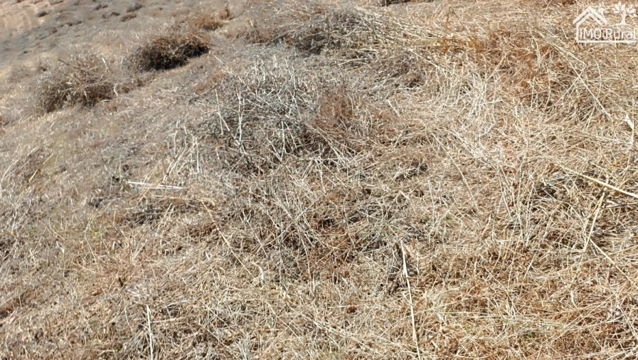 Terreno para Venda em São Vicente do Paul e Vale de Figueira Foto 25
