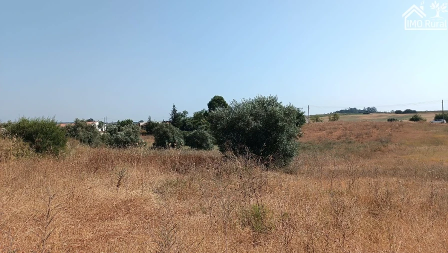 Terreno para Venda em São Vicente do Paul e Vale de Figueira Foto 22