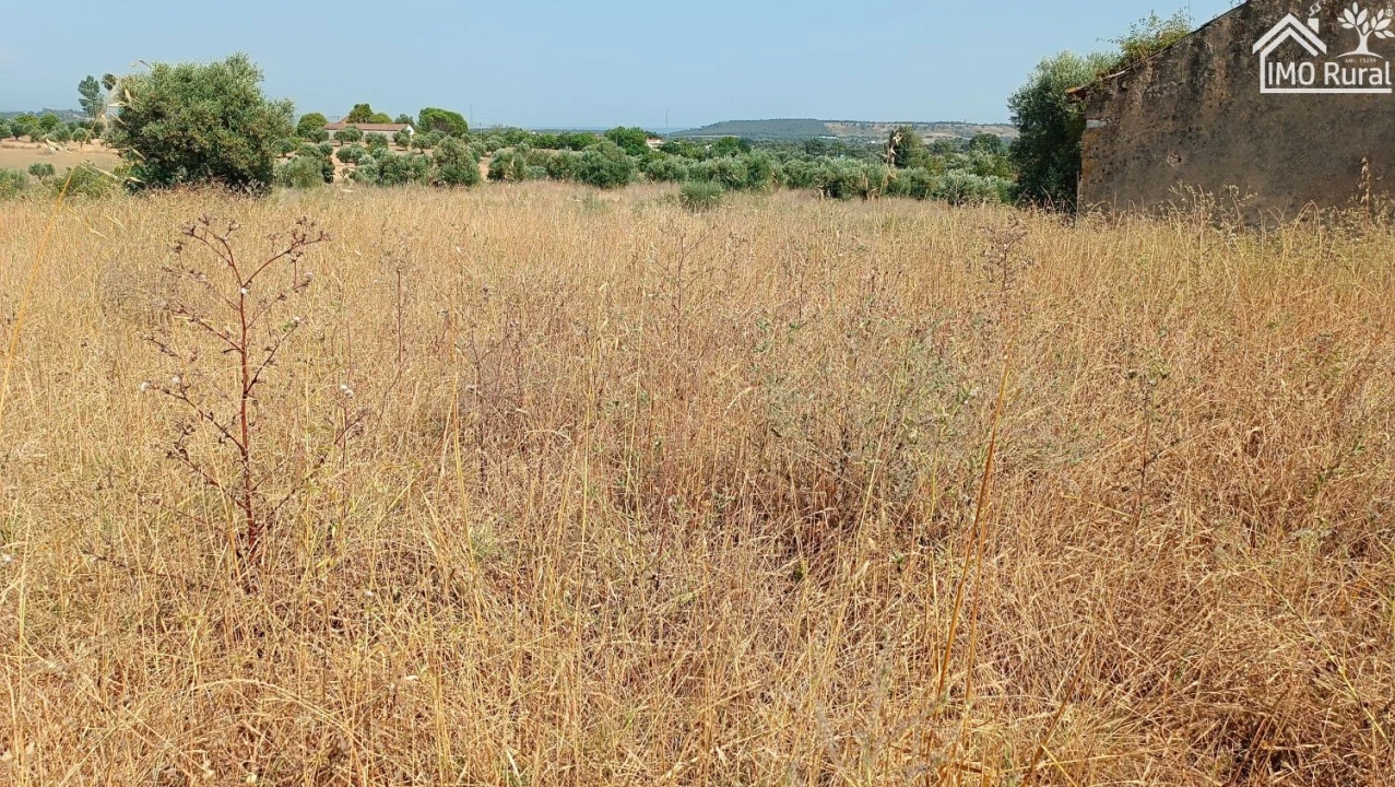 Terreno para Venda em São Vicente do Paul e Vale de Figueira Foto 17