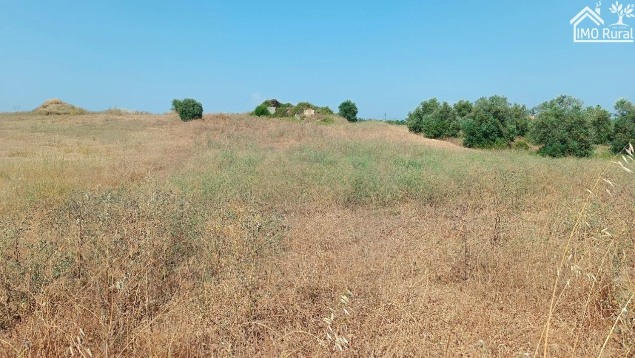 Terreno para Venda em São Vicente do Paul e Vale de Figueira Foto 12