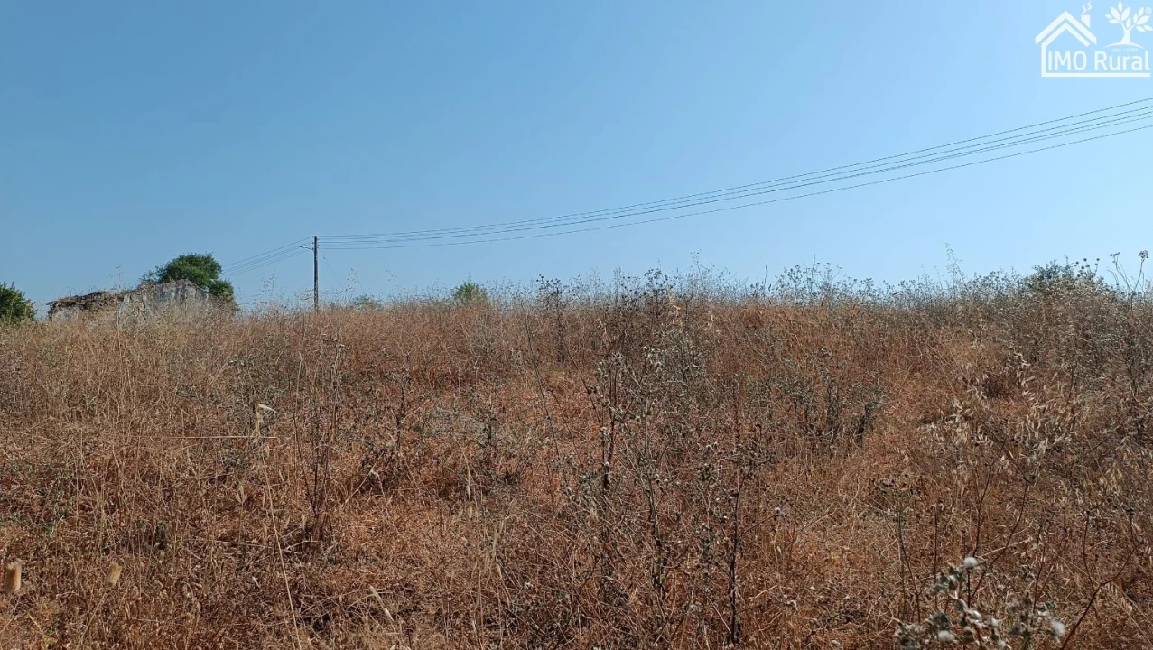 Terreno para Venda em São Vicente do Paul e Vale de Figueira Foto 13