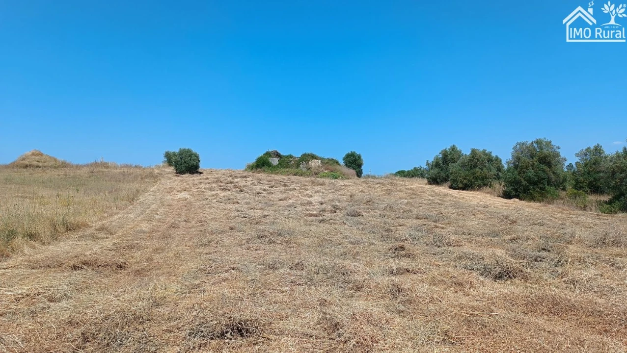 Terreno para Venda em São Vicente do Paul e Vale de Figueira Foto 7