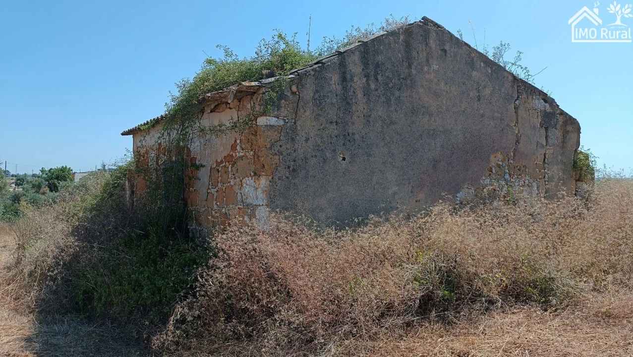 Terreno para Venda em São Vicente do Paul e Vale de Figueira Foto 3