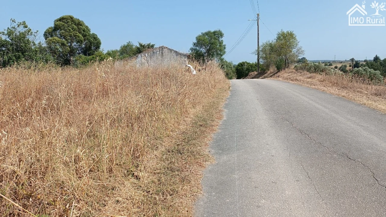 Terreno para Venda em São Vicente do Paul e Vale de Figueira Foto 11