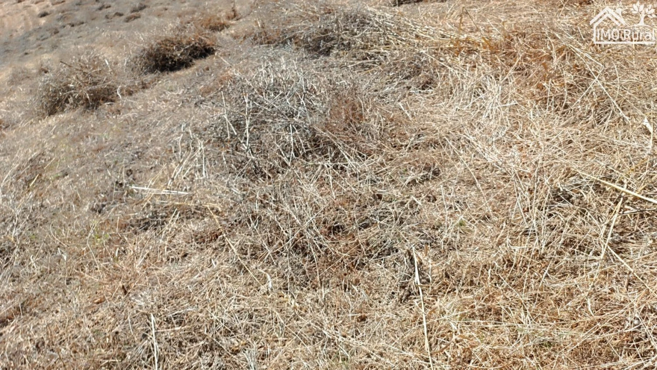 Terreno para Venda em São Vicente do Paul e Vale de Figueira Foto 25