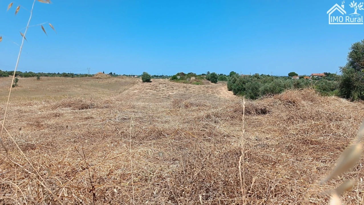 Terreno para Venda em São Vicente do Paul e Vale de Figueira Foto 23